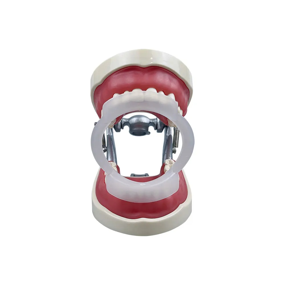 100 Stück/Beutel Dental O-Form – Teeth Whitening With Braces Bewertung und Preis