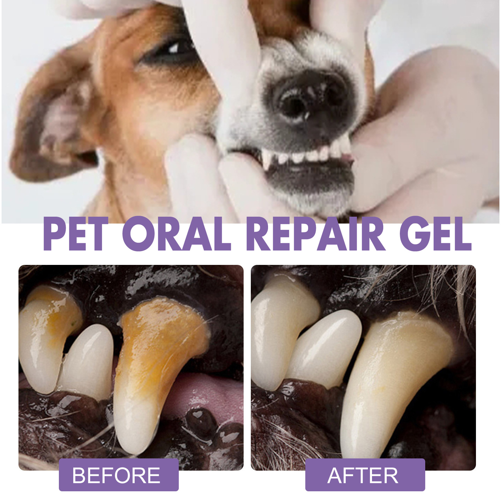 Pet Oral Repair Gel Welpen Zah – Teeth Whitening Hydrogen Peroxide Bewertung und Preis