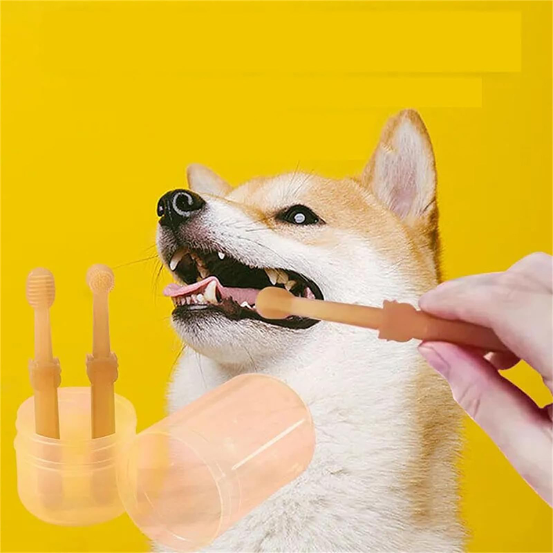 Zahnaufhellung für Hunde und K – Teeth Whitening Toothbrush Bewertung und Preis