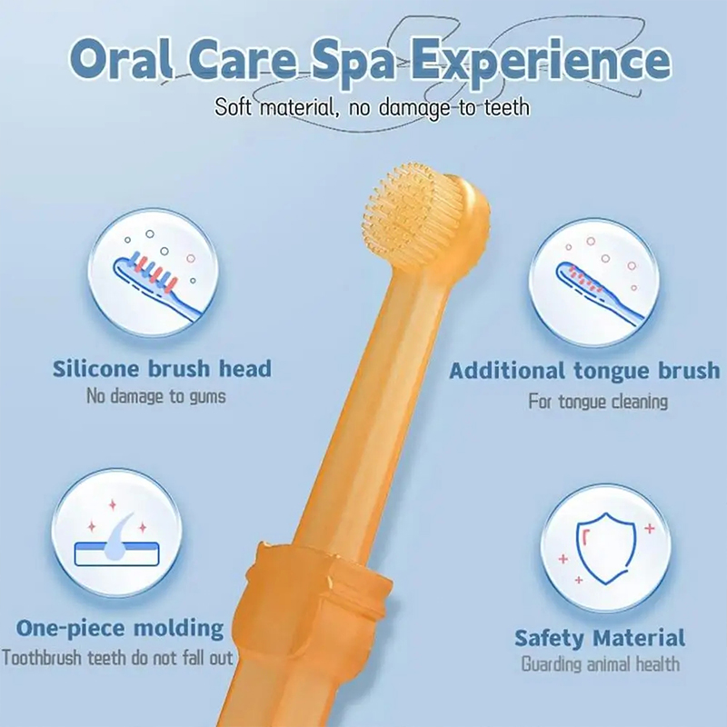 Zahnaufhellung für Hunde und K – Teeth Whitening Toothbrush Bewertung und Preis